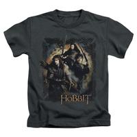 youth the hobbit the desolation of smaug weapons drawn