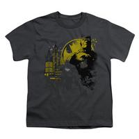 Youth: Batman - The Dark City