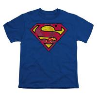 youth superman action s shield
