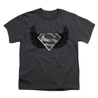 Youth: Superman - Dirty Wings