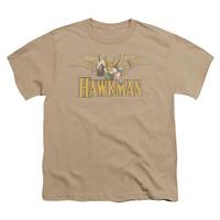 Youth: DC Comics - Hawkman