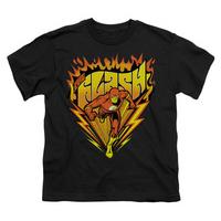 youth dc comics the flash blazing speed