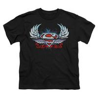 Youth: Superman - Chrome Wings Shield