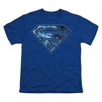 Youth: Superman - On Ice Shield