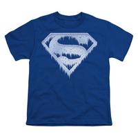 Youth: Superman - Ice and Snow Shield