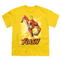 Youth: Justice League America - Flash Yellow
