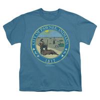 youth parks rec distressed pawnee seal