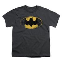 Youth: Batman-Destroyed Logo