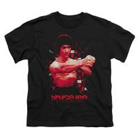 Youth: Bruce Lee-The Shattering Fist