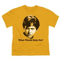 Youth: Star Trek-What Would Sulu Do