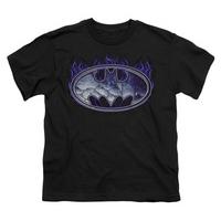 Youth: Batman-Cracked Shield