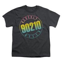 youth 90210 color blend logo