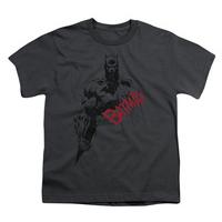 Youth: Batman - Sketch Bat Red Logo