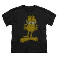 Youth: Garfield - Big Ol\' Cat