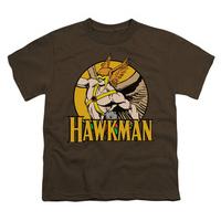 Youth: DC-Hawkman