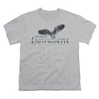 Youth: Labyrinth - Owl Logo
