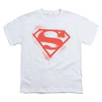 Youth: Superman - Spray Paint Shield