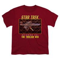 Youth: Star Trek Original - The Tholian Web