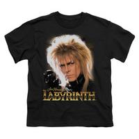Youth: Labyrinth - Jareth