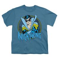 Youth: DC Comics - Nightwing