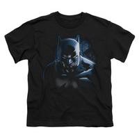 Youth: Batman - Don\'t Mess With The Bat