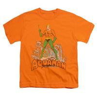 Youth: Aquaman - Aquaman Distressed