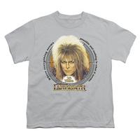 Youth: Labyrinth - 25 Years