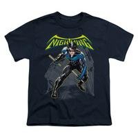 Youth: Batman - Nightwing