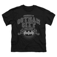 Youth: Batman - University of Gotham
