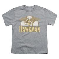 Youth: Hawkman - Fly By