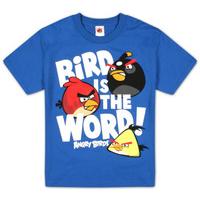 youth angry birds bird word