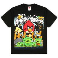 Youth: Angry Birds - Angriest Attack