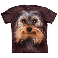 Yorkshire Terrier Face