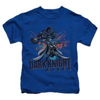 Youth: The Dark Knight Rises - Batwing