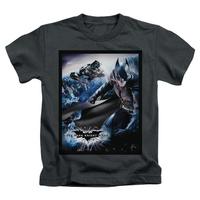Youth: The Dark Knight Rises - The Batwing Rises