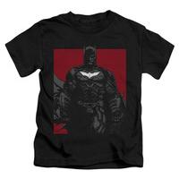 Youth: The Dark Knight Rises - Bat Lines