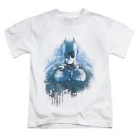 Youth: The Dark Knight Rises - Spray Bat