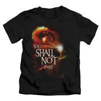 Youth: Lord of the Rings - You Shall Not Pass!