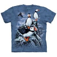 Youth: Find 10 Puffins