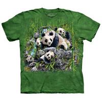 Youth: Find 13 Pandas