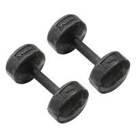 york 2 x 10kg legacy dumbbells