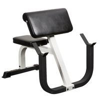 York FTS Seated Preacher Curl