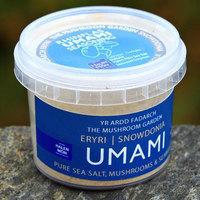 Yr Ardd Fadarch Umami Seasoning