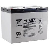 yuasa rec80 12i battery deep cycle cyclic sla 12v 80ah