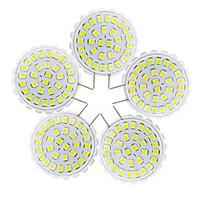 YWXLight 5Pcs G8 2835 SMD 31LED Bi-Pin Lights 2W 100-200Lm Warm White Cool White Chandelier Decorative Light 110-140V