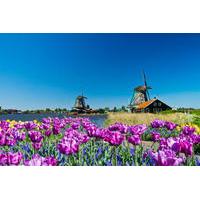 zaanse schans windmills marken and volendam half day trip from amsterd ...