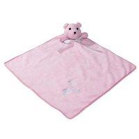 zanies snuggle bear blanket