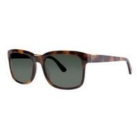 zac posen sunglasses learned tortoise