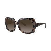 Zac Posen Sunglasses MOUNIA Osaka Tortoise