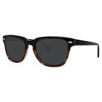 Zac Posen Sunglasses DAAN Tortoise Gradient